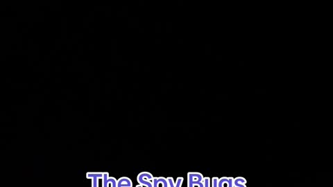 Spy bugs #Spy #Bugs #SpyBugs #TheyAreWatching #Watchers #TadpoleTriplett #Comedian