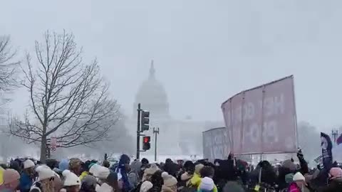 Let Their Hearts Beat!