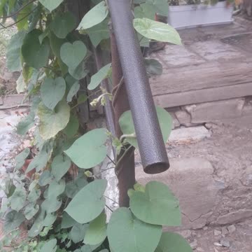 Floral decoration of the porch