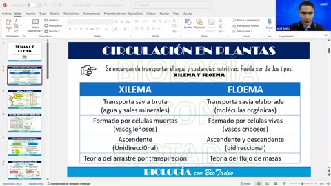 AULA 20 REGULAR 2026 - 1 | Semana 04 | Anatomía