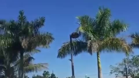 🛸🌟 Multiple UAPs Over Homestead, Florida: What Are These Objects? | TheTruthAbove