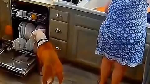 #Funny