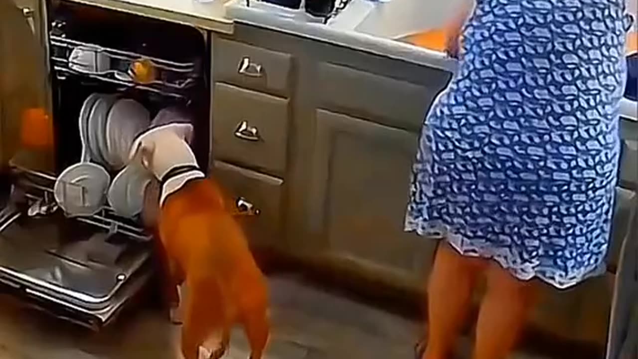 #Funny