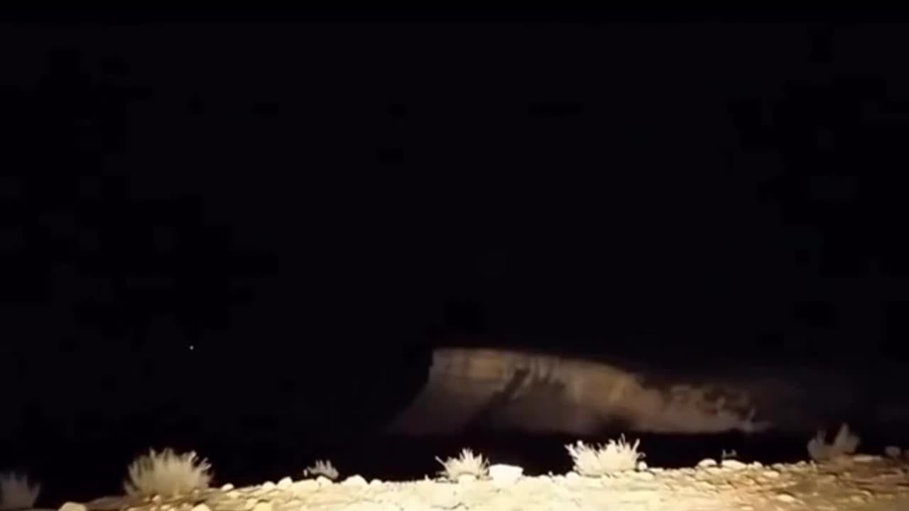 š¤£š¦ Wait For The EndingāThank You Little Bird! | FunFM