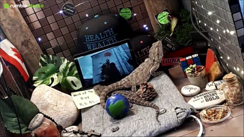 ⭕2025 Live Stream Day 13🔴 🍏Healthy4Life🐉 Mascots 🍎🐲 Meet Kobe & Health A Day In The Life Of Bearded Dragons🐲Day13🐉⭕Live🦎Stream🔴