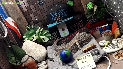 ⭕2025 Live Stream Day 13🔴 🍏Healthy4Life🐉 Mascots 🍎🐲 Meet Kobe & Health A Day In The Life Of Bearded Dragons🐲Day13🐉⭕Live🦎Stream🔴