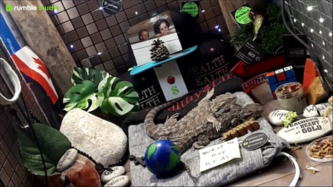 ⭕2025 Live Stream Day 13🔴 🍏Healthy4Life🐉 Mascots 🍎🐲 Meet Kobe & Health A Day In The Life Of Bearded Dragons🐲Day13🐉⭕Live🦎Stream🔴