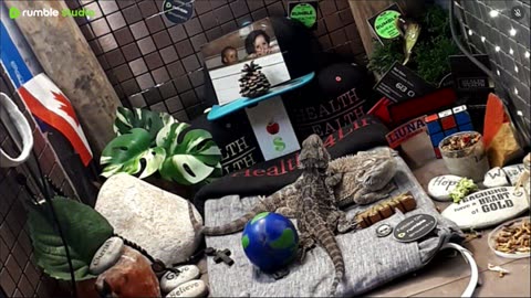 ⭕2025 Live Stream Day 13🔴 🍏Healthy4Life🐉 Mascots 🍎🐲 Meet Kobe & Health A Day In The Life Of Bearded Dragons🐲Day13🐉⭕Live🦎Stream🔴