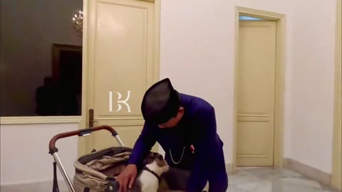 This is the pet cat of the Indonesian president