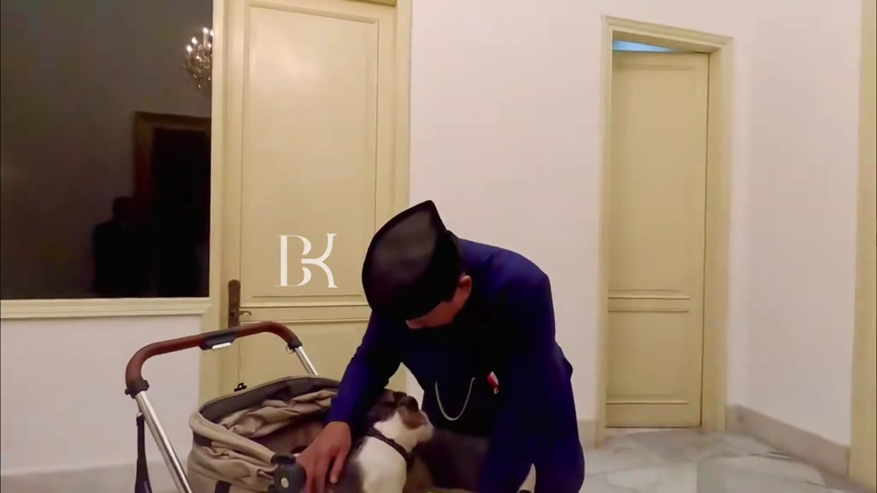 This is the pet cat of the Indonesian president