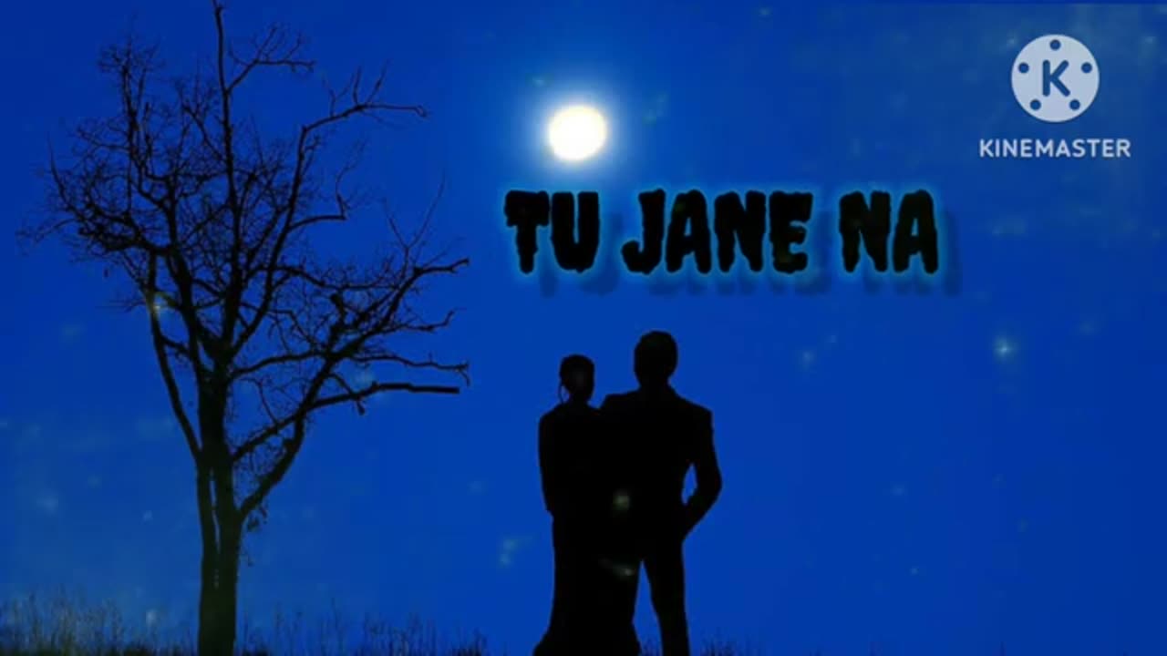 Tu Jane Na Lofi Song, Love Song