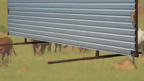 Freestanding Windbreak Panels