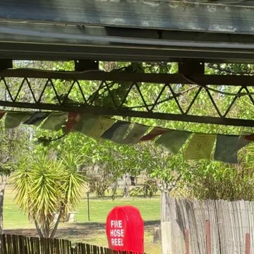 Springtime. Mist system on!