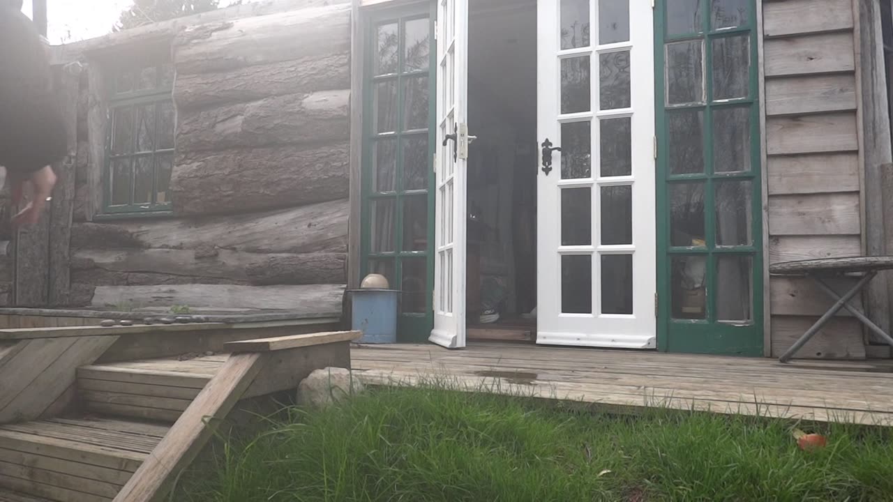 UNCUT: R Word and birds full video