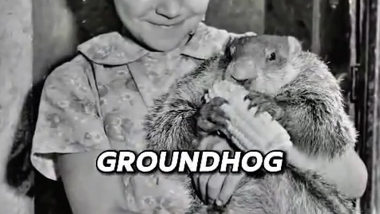 CRAZY HISTORICAL PHOTOS