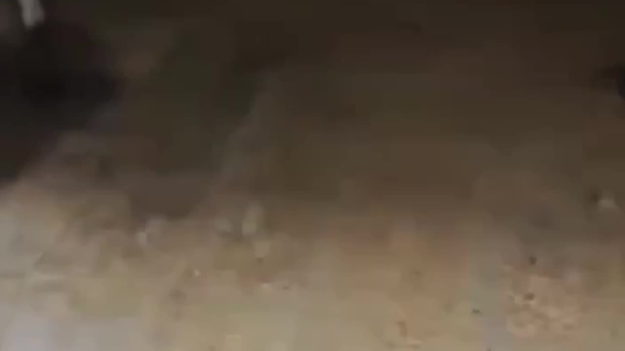 +18 Disturbing Video showing dead and wounded Happening now in Syria