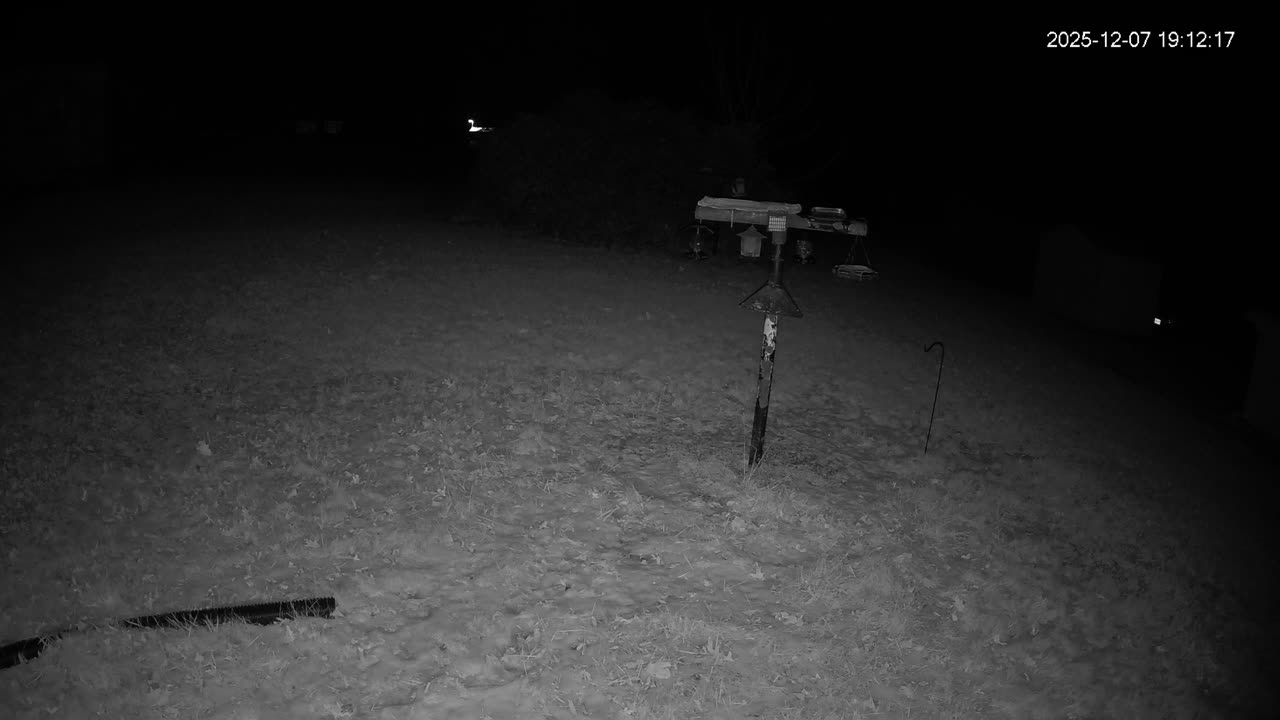 Bird Feeder in Western Maryland USA