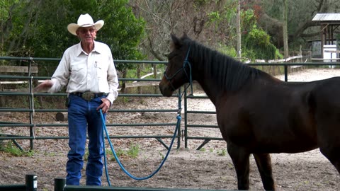 Cowboy Up Feb. 16