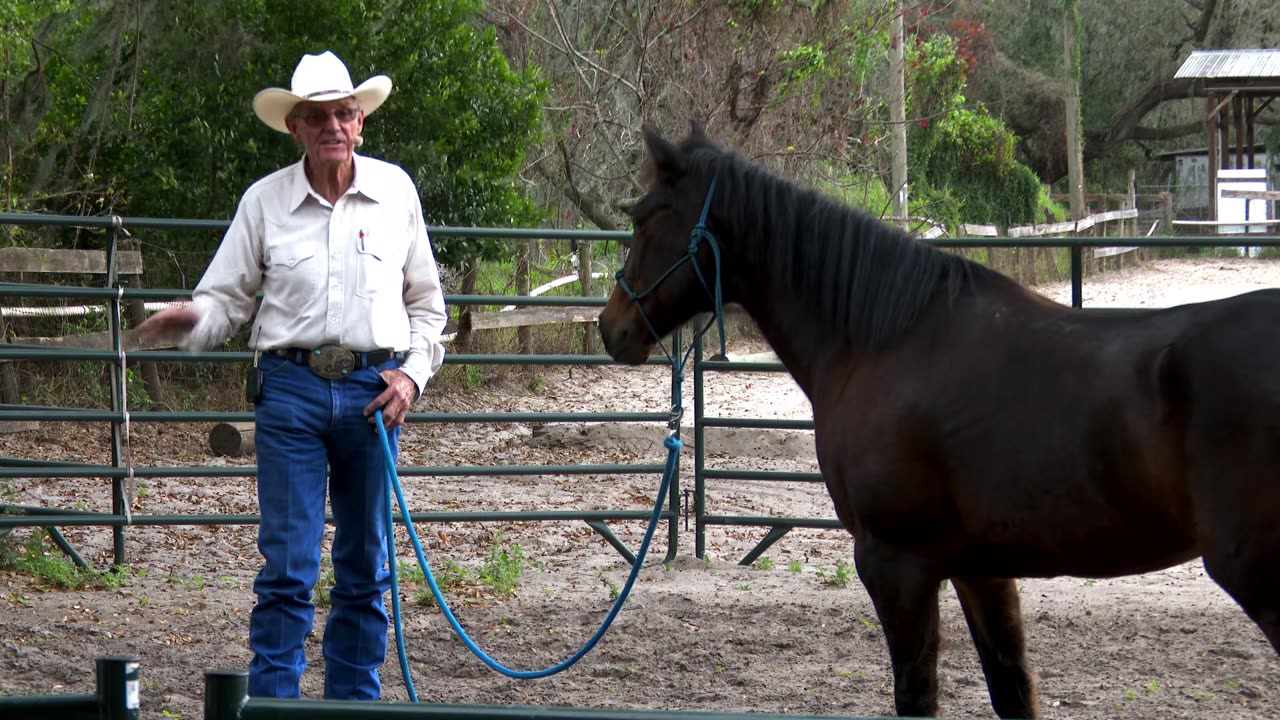 Cowboy Up Feb. 16