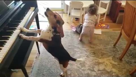 We can learn a lot from our children and animals about how to enjoy the simple things in life...