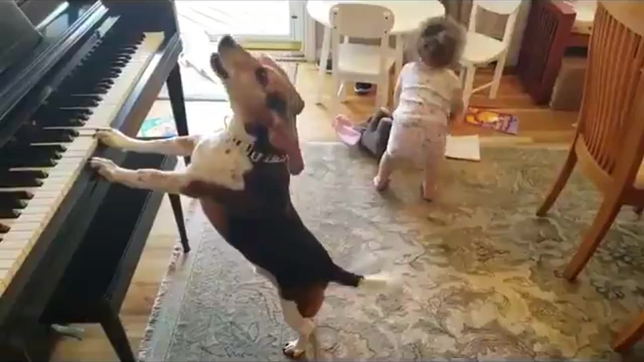 We can learn a lot from our children and animals about how to enjoy the simple things in life...