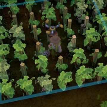 Beetles Galore!!! Luma Island