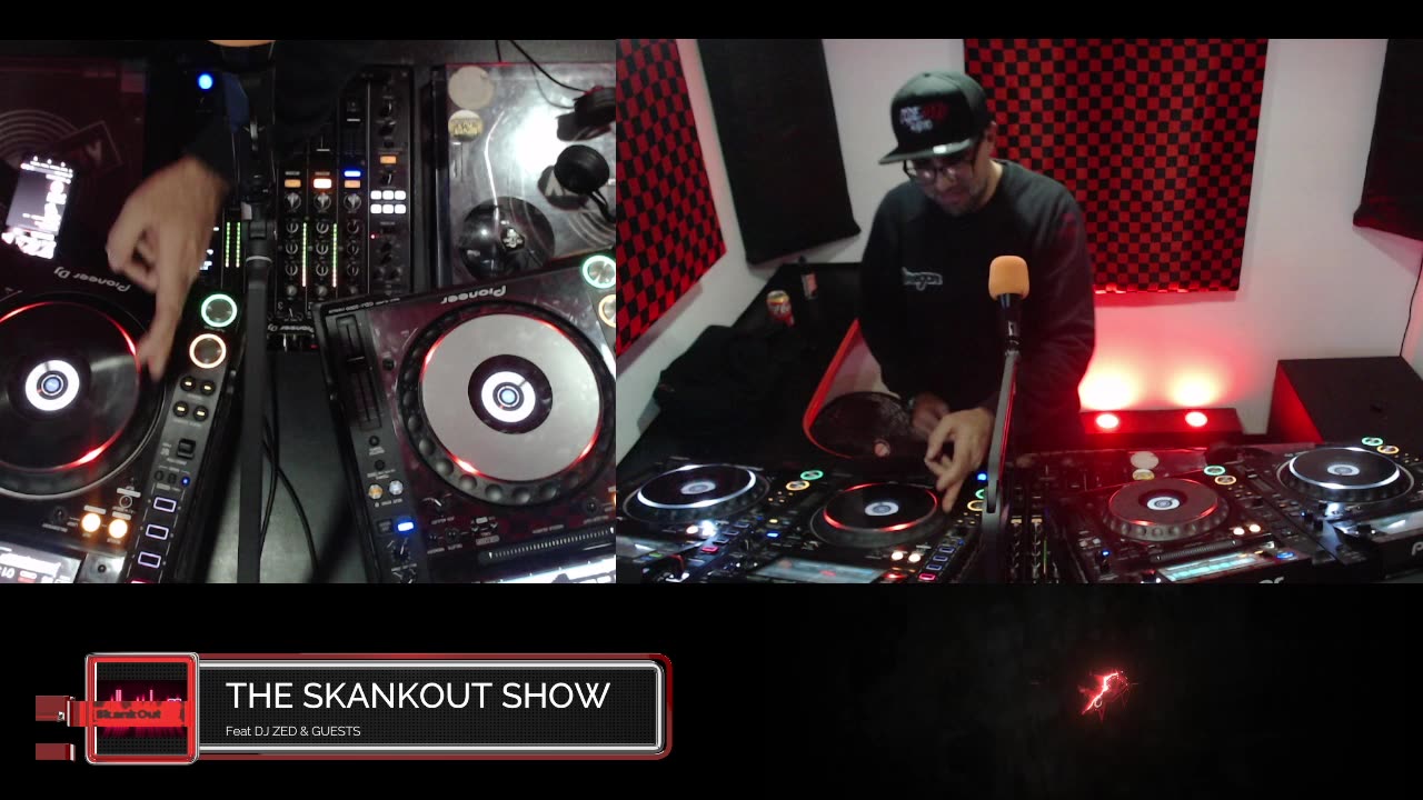 THE SKANKOUT SHOW