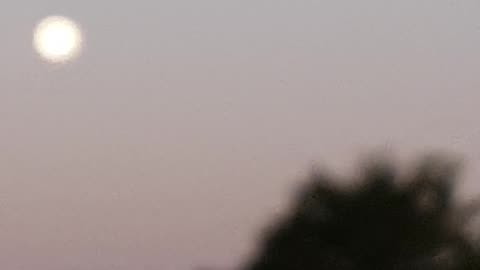 Corn Moon