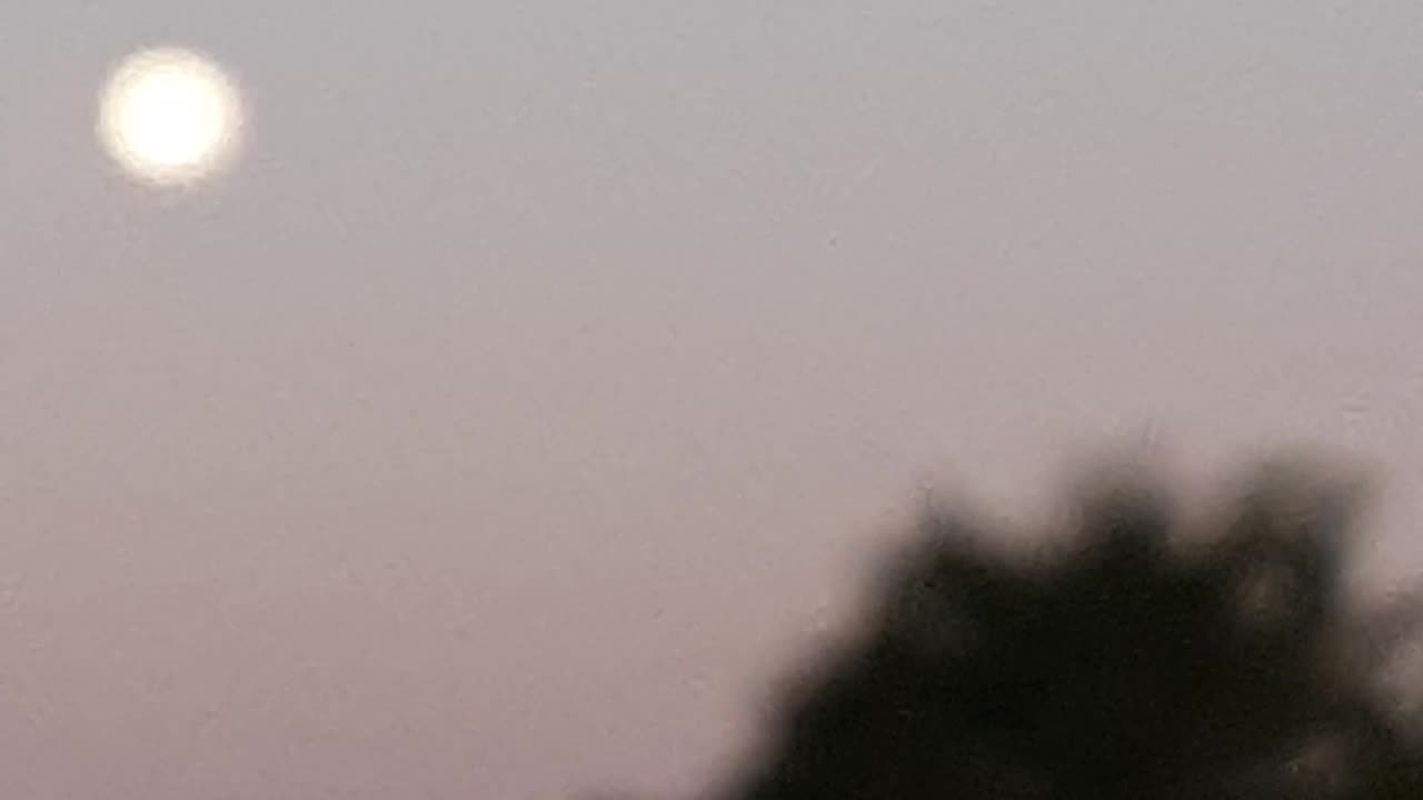 Corn Moon