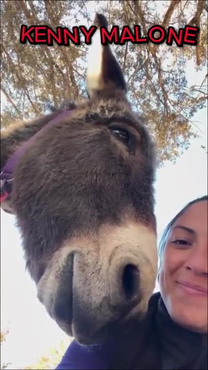 IS THIS KENNY MALONE?