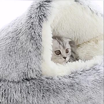 Shell Shaped Semi-enclosed Cat Nest Pet Cat Bed Soft Sleeping Bed