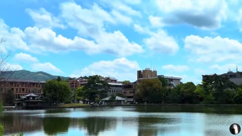 Nara City Japan Tour