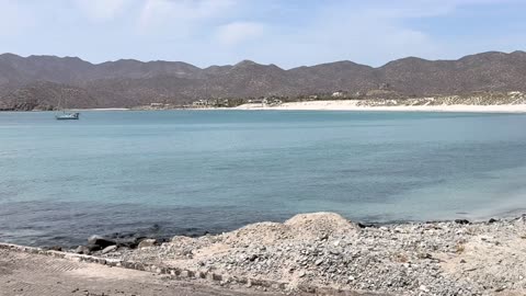 Suplementos Esenciales para la Salud Cerebral y Anímica