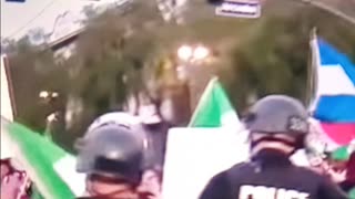 Police officer rips away Mexican flag from ice protester