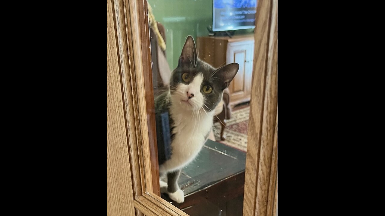 Episode 3054 CWSA 12/26/25