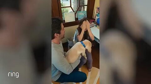 Embrace the surveillance you installed - puppies [RING DOORBELL]