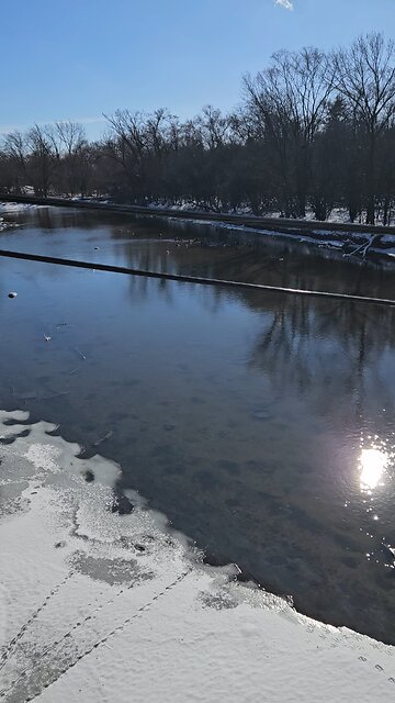 Large Flock of Geese on Salt Creek