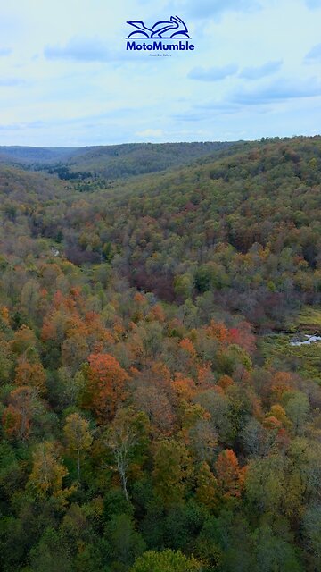 Looking Down 225 Feet From the Bridge