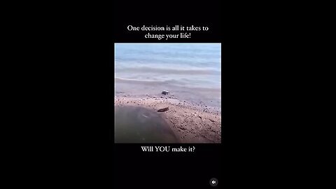 One decision can change ur life✨️ #trending #shorts #shortvideo #short #viralvideo #ytshorts #reels