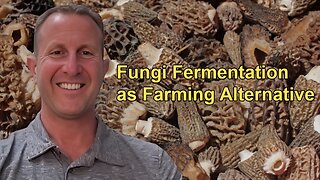 Fungi Fermentation as a Sustainable Alternative to Factory Farming With Paul Shapiro