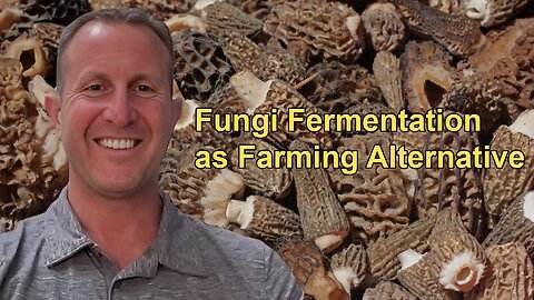 Fungi Fermentation as a Sustainable Alternative to Factory Farming With Paul Shapiro