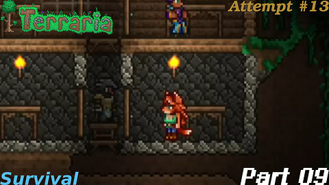 Terraria Playthrough #13 Part 9