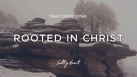 Is Your Life Rooted in Christ? | Colossians 2:6-7 | Daily Devotional