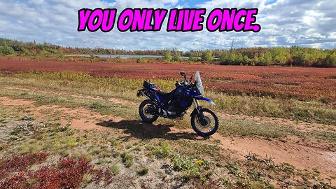 You only live once