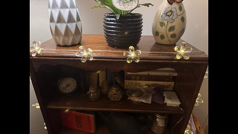 2 Packs Flower String Lights - 20 LEDs Flower Fairy Lights Battery Operated with Timer