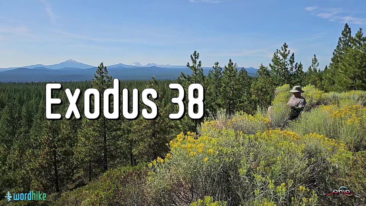 Exodus 38, Bible Reading in Nature, BSB