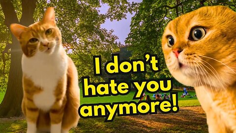 When a Cat Becomes Friends with the Neighbor He Hates (Ep.44)