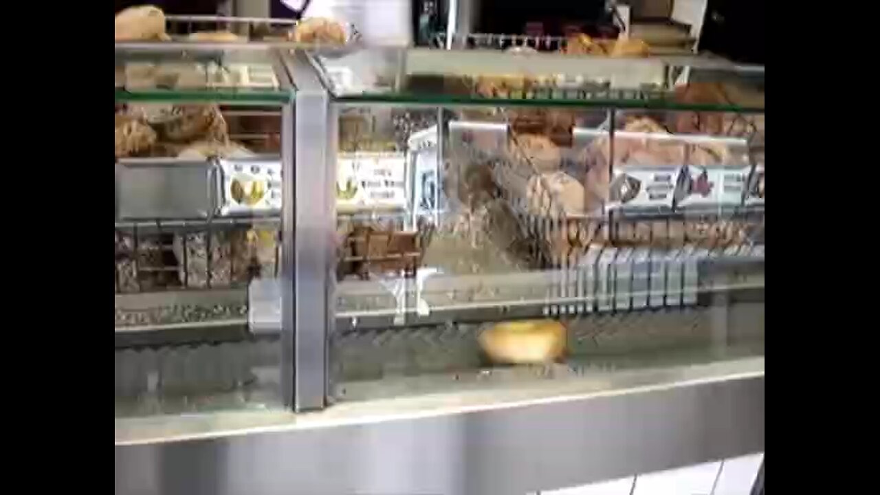 Love All Life Always #308 - Don't Like The Hassle Of Cutting Your Bagel? Go To This Bagel Store!