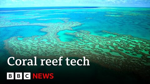 Could tech protect our coral reefs? | BBC News