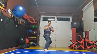 WTD 2 Step Kick Combination 184